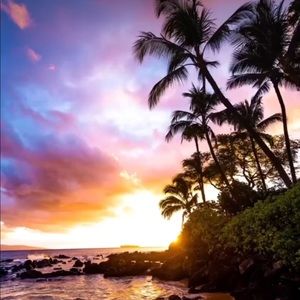 Meet your Posher, Sade